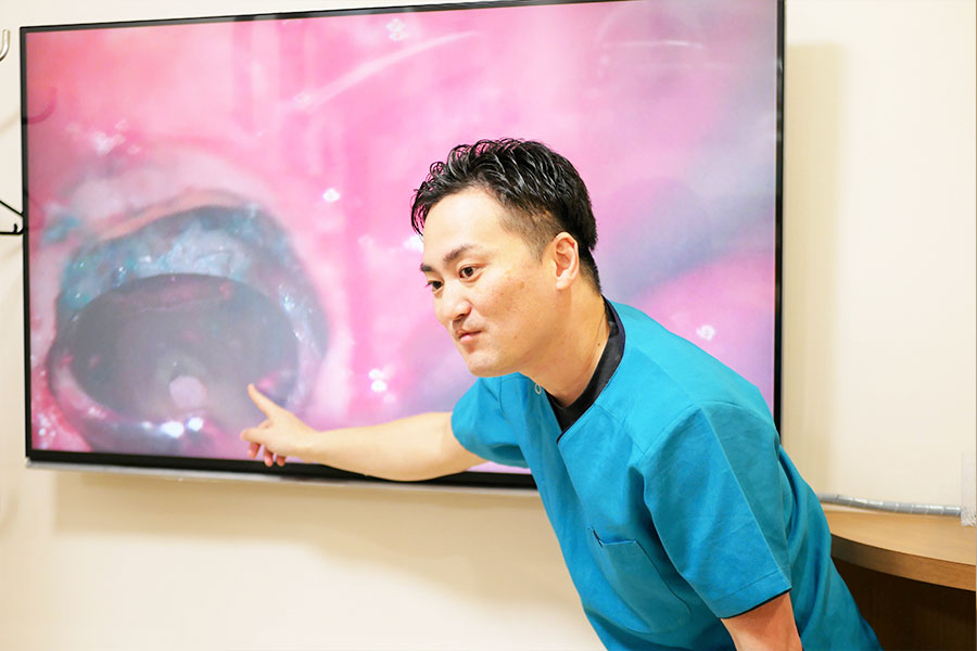 福岡県糟屋郡新宮町・新宮おがわ歯科 おとな・こども歯科